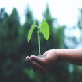 Bespaar geld, op energie en het klimaat met een slimme thermostaat