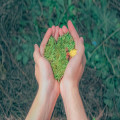 Wat is het verschil tussen biologisch en ecologisch? Wij leggen het uit