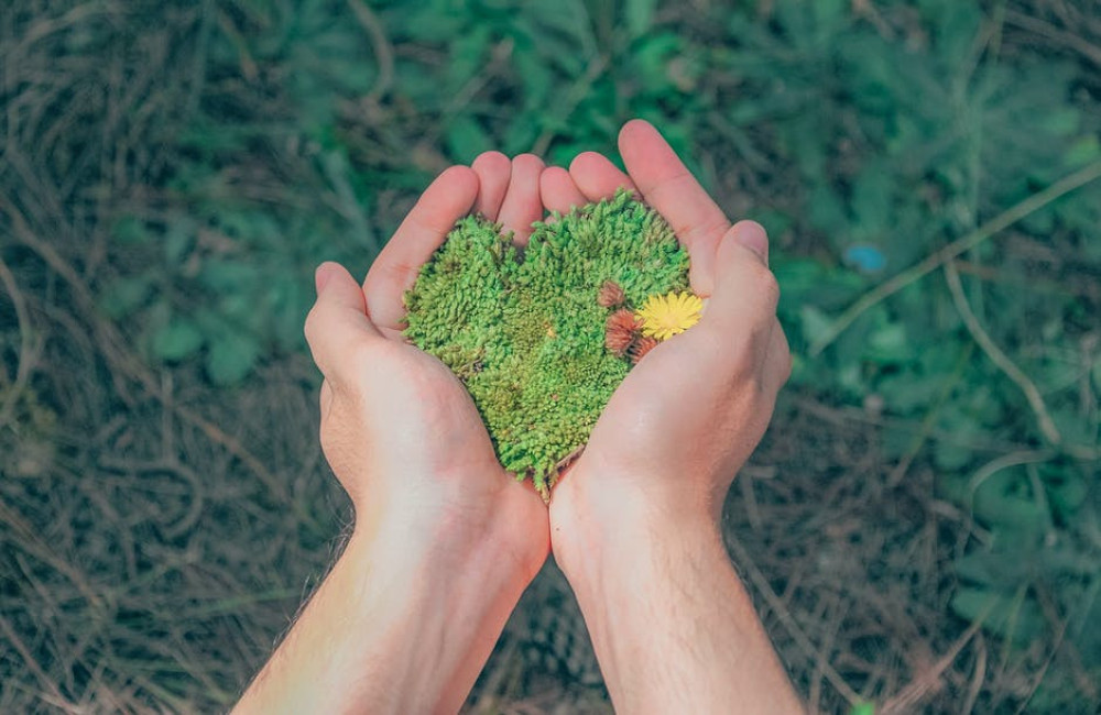 Wat is het verschil tussen biologisch en ecologisch? Wij leggen het uit