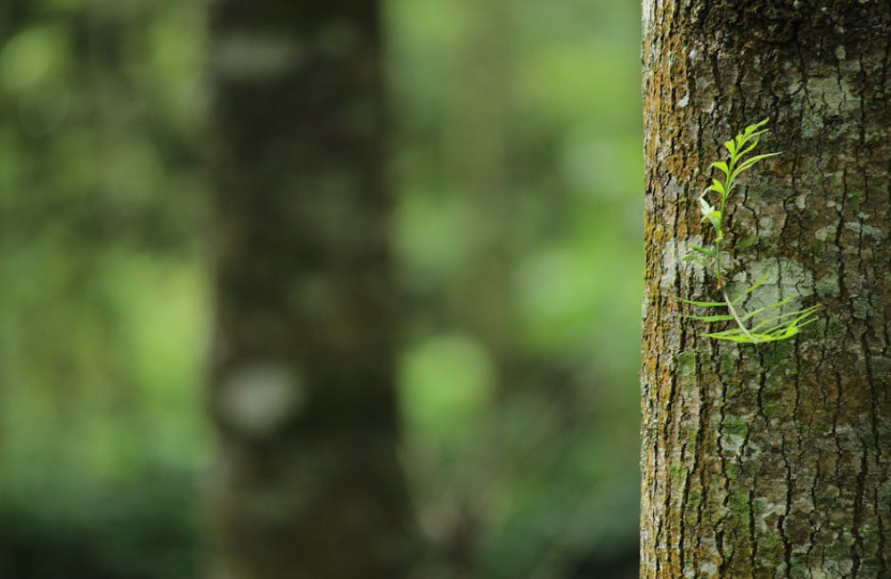 Waarom is duurzaam reizen belangrijk voor mens en natuur?