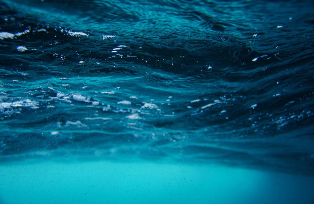 Hoe helpt een regenwateropvangsysteem de natuur en jouw waterrekening?