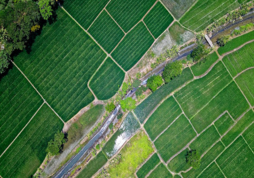 Wat is het verschil tussen biologische en duurzame landbouw?