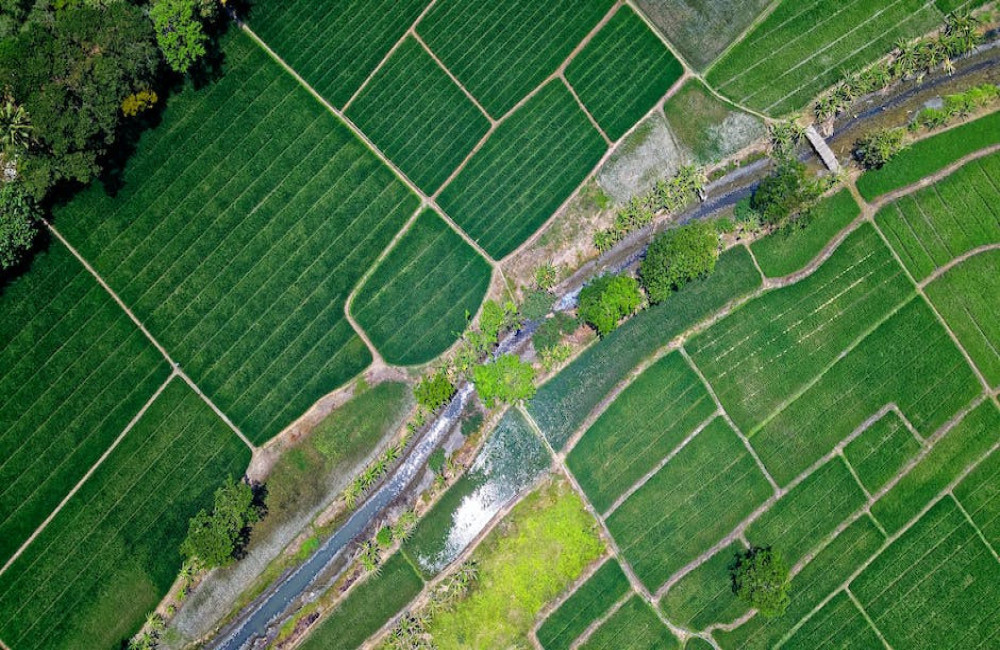 Wat is het verschil tussen biologische en duurzame landbouw?