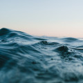 Hoe kun je regenwater duurzaam opvangen en hergebruiken in je tuin?