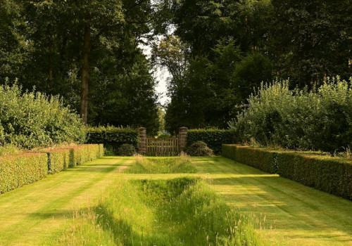 Laat je inspireren door groene ideeën