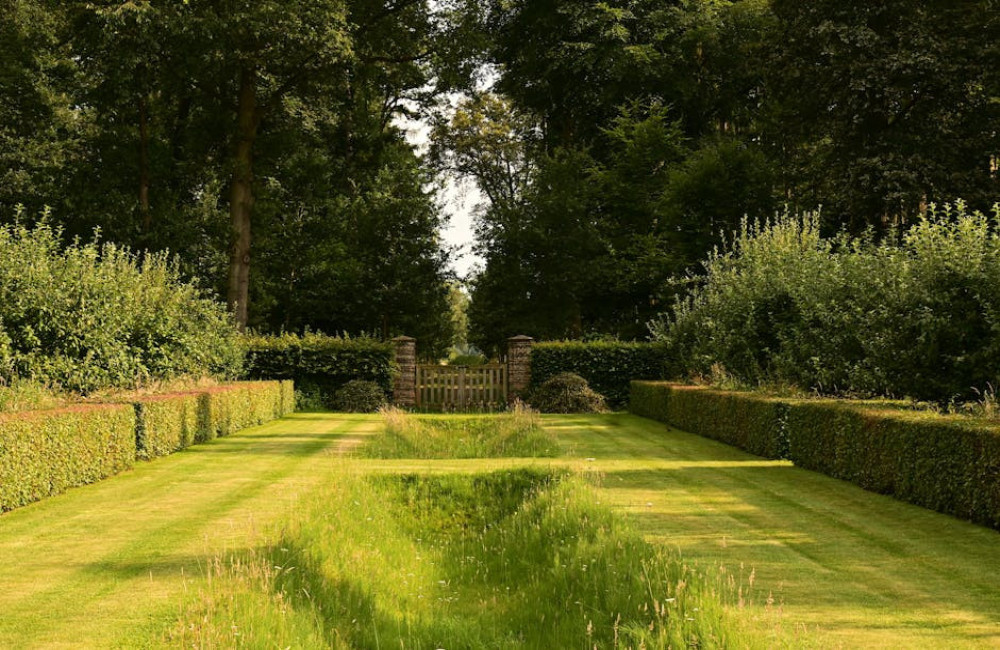 Laat je inspireren door groene ideeën