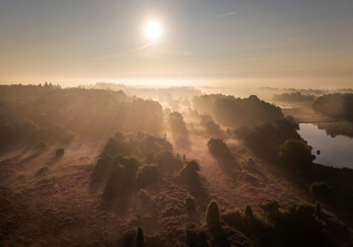Luxe genieten op de Veluwe: zo haal je alles uit je verblijf