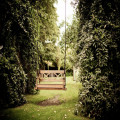 Hoe kun je je tuin diervriendelijk en duurzaam inrichten?