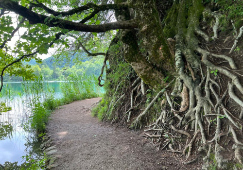 Een uitvaart dicht bij de natuur