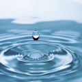 Hoe kan je water opslaan in de tuin voor droogteperiodes?