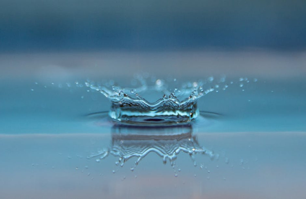 Hoe kun je duurzaam omgaan met water in huis en tuin?