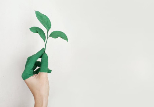 Wat is het verschil tussen biologisch en ecologisch? Uitleg en voorbeelden