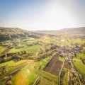 Wat zijn ecodorpen en waarom kiezen steeds meer mensen ervoor om er te wonen?